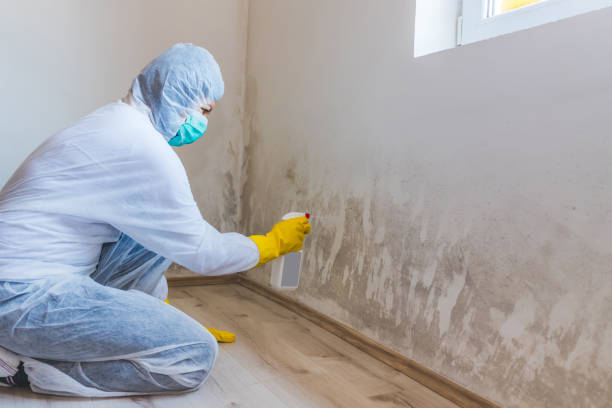 Mold inspector in Pikesville performing thermal imaging